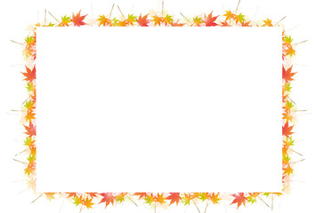 紅葉　もみじ　秋　背景 