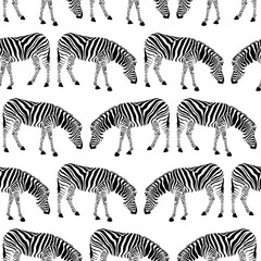 Zebra seamless pattern. Wild animal texture. Striped black and white. design trendy fabric texture, vector illustration.