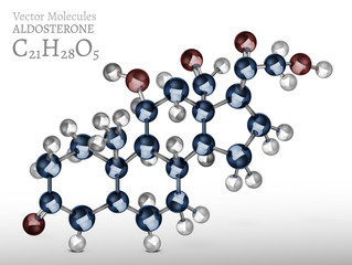 Aldosterone Molecule Image