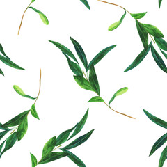 Seamless pattern with watercolor olive branch on white