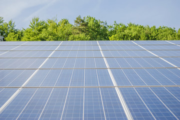 solar panels with green forest and blue sky in background