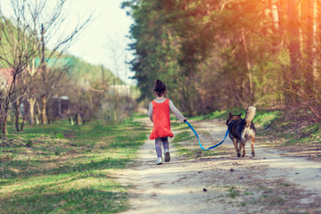 Fototapeta premium A little girl walks with a dog on a country road near a forest