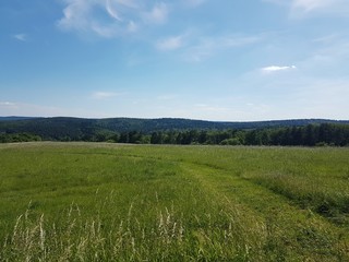 BIESZCZADY © michalsen