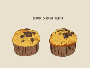 banana Chocolate chip muffins in paper cases , sketch vector.