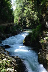 Fototapeta premium Gorge de Vintgar