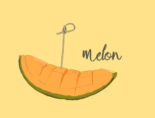 Cantaloupe melon, fruit vector illustration