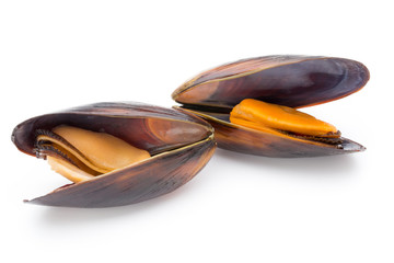 Mussels isolated on white background. Sea food.