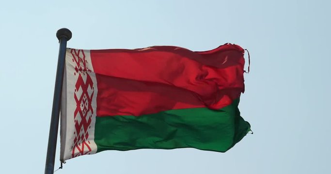 4k Belarus flag flutters in wind.