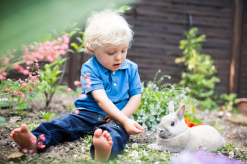Postkarte mit Junge und Hase