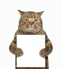 The cat is holding a poster.