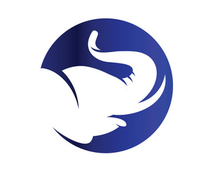 Modern Isolated Animal Head Silhouette Logo Circle - Elephant Symbol