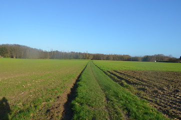 Fototapeta na wymiar Small path in field in countryside