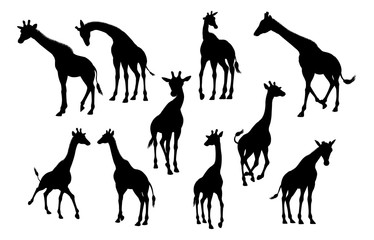 Naklejka premium Giraffe Animal Silhouettes
