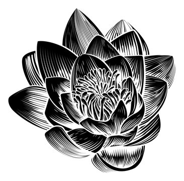 Vintage Style Water Lily Lotus Flower