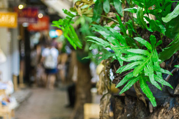 バンコク・ウィークエンドマーケット・チャトチャック市場