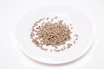 white peppers in white plate on the white background