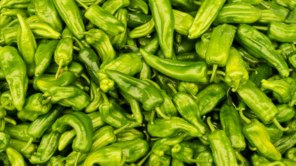green peper chili. background