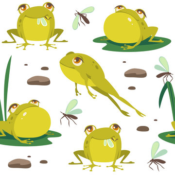 vector catoon frog seamless pattern