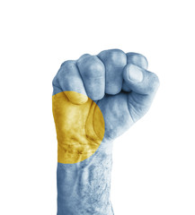 Flag of Palau painted on human fist like victory symbol