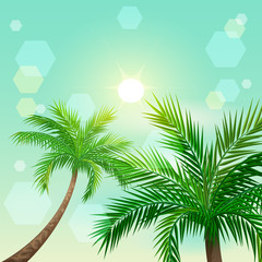 Fototapeta na wymiar Tropical palm trees and sun in zenith