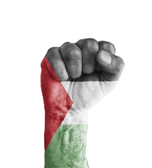 Flag of Palestine painted on human fist like victory symbol