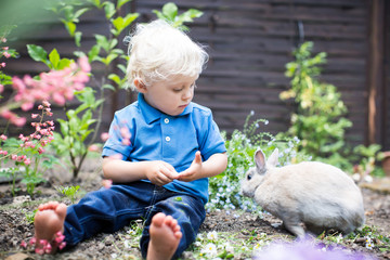 spielen mit dem Hase
