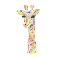 Watercolor Giraffe Isolated on a White Background Hand Drawn Illustration