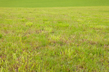 Obraz premium a wide green mountain pasture in Val di Funes, Italy