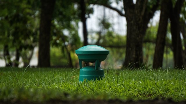 Green lantern in the park.