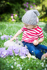 den Hasen streicheln