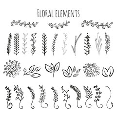 Vector floral with leaves, branches, plant elements