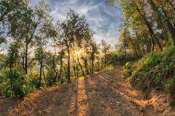 Amanecer en Castell de Montbui