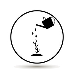 Watering a plant with watering can