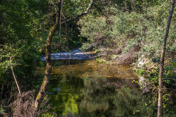 Lourizela, Águeda, Portugal