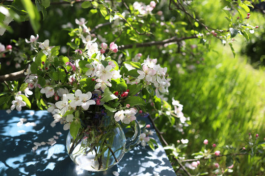 A bouquet of branches of a blossoming apple tree and forget-me-nots in a glass jar on a blue table. Spring garden.
