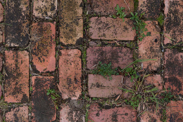 Brick floor