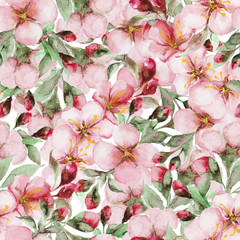 pattern of watercolor sakura flowers