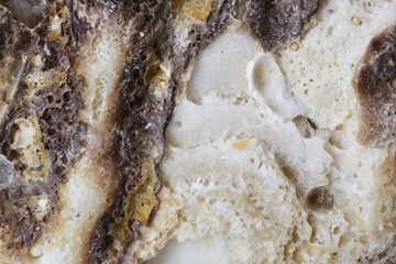 Abstract textured background