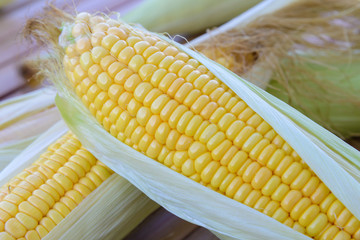 Fresh corn on cobs on rustic wooden