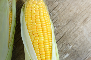 Top view of fresh corn on cobs on rustic wooden with Copy space