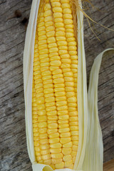Top view of fresh corn on cobs on rustic wooden 