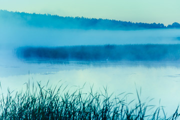 Magical sunrise over the lake. Misty morning, rural landscape, wilderness, mystical feeling