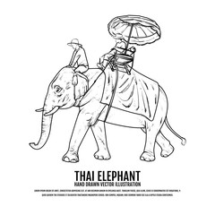 Fototapeta na wymiar Thai Elephant. Elephant Hand Drawn vector Illustration. Travel Thailand Concept.