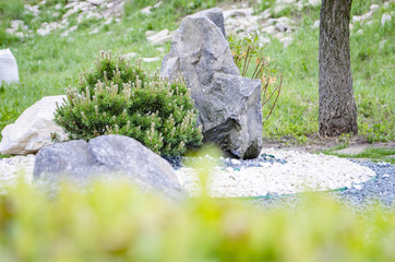 Beautiful rock garden cultivated roof gardening