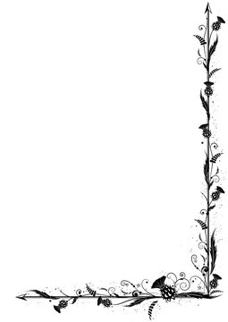 thistle border