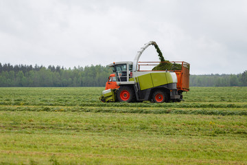Harvester collects dry grass to the truck in a field full of green grass. Truck collects grass clippings, which cuts the tractor driving by on the green field in the summer. Agricultural view