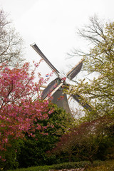 Windmill
