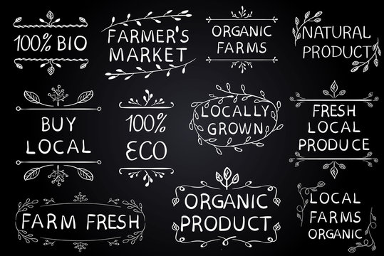 Set of VECTOR typographic elements on chalkboard. Farmers market, farm fresh eco food on white background. Green lines.