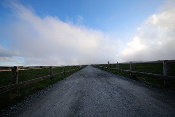 horizon road  the green field and clouds on blue sky in summer day