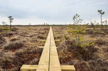 New wooden hiking trail in marshland area. - 159288652